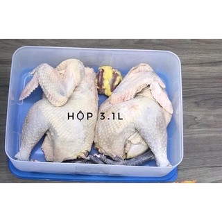 Hộp trữ đông 3.1l