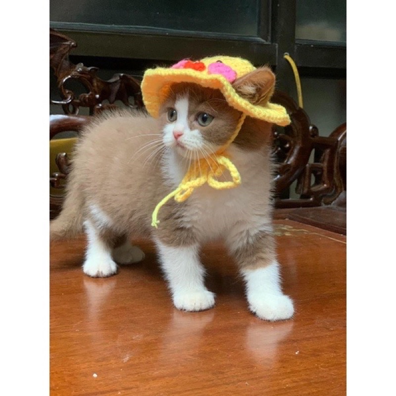 Nón mũ len handmade vịt vàng cute cho chó mèo thú cưng đủ size