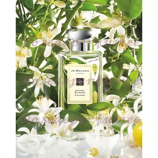 Nước Hoa Orange Blossom 5ml/10ml - 𝘙𝘰𝘴𝘦𝘥𝘦𝘱𝘦𝘳𝘧𝘶𝘮𝘦𝘦