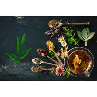[Thảo mộc ngua]Hộp Thái Lan Xanh