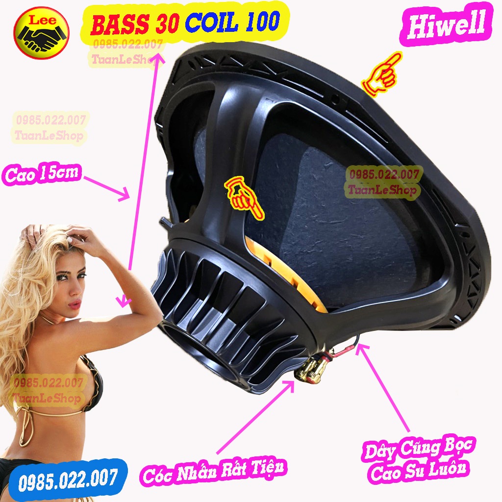LOA BASS 30 HIWELL TỪ NEO COI 100, HÀNG NHẬP KHẨU – GIÁ 01 BASS 3 TAC HIWELL