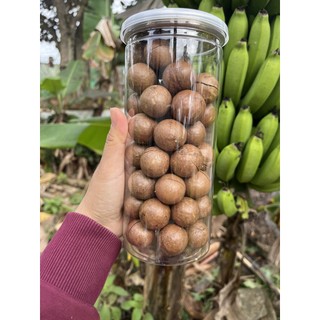 500g Hạt Macca Gia Lai (hạt mắc ca)