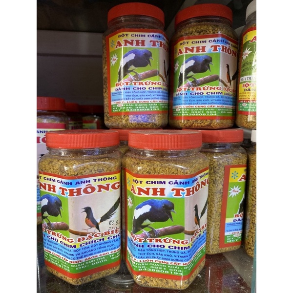 Cám Chích Choè Anh Thông