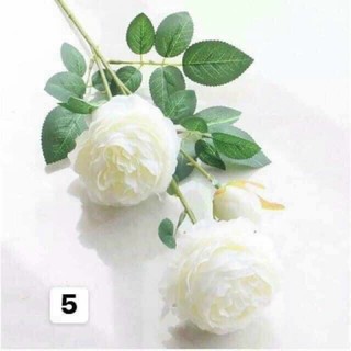 hoa trà 2 bông 1 nụ hàng đẹp.