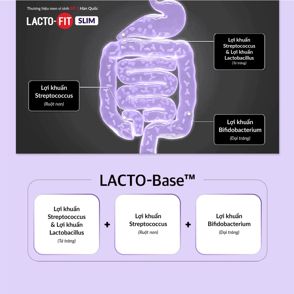 [HSD 18.11.2023] 10 Gói Men Vi Sinh Hàn Quốc LACTO-FIT SLIM Cải Thiện Đường Ruột, Hỗ Trợ Người Ăn Kiêng, Giảm Cân