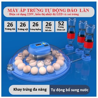 Máy ấp trứng mini tự động đảo trứng và bơm nước