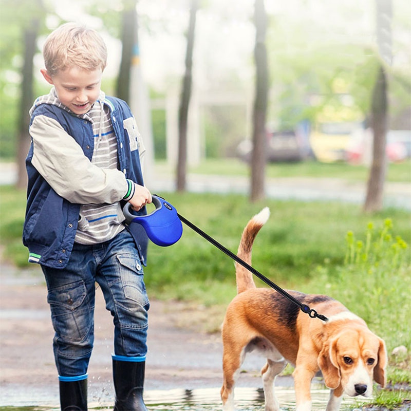 HamshMoc Dây RúT 360 Độ DùNg Để DẫN Thú Cưng Đi DạO° Ổ Khóa Một Nút Có Tay Cầm Chống Trượt Phản Quang Bằng Nylon