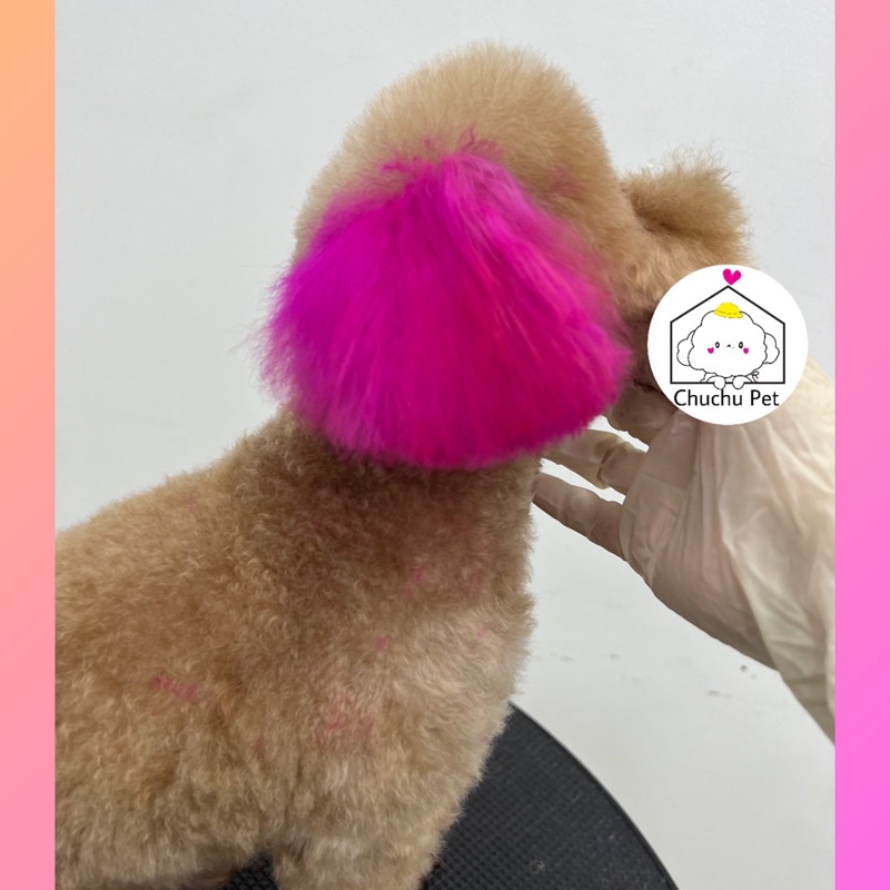 Màu nhuộm thú cưng Blooklyn-ChuChu Pet