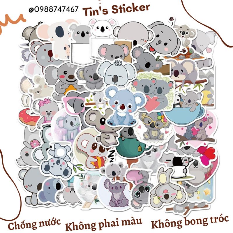 Set combo 50 miếng dán sticker gấu koala dán nón mũ bảo hiểm laptop vali sổ tay đàn guitar điện thoại