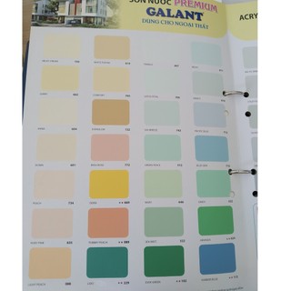 Sơn nước ngoại thất Galant 800ml (nhiều màu)
