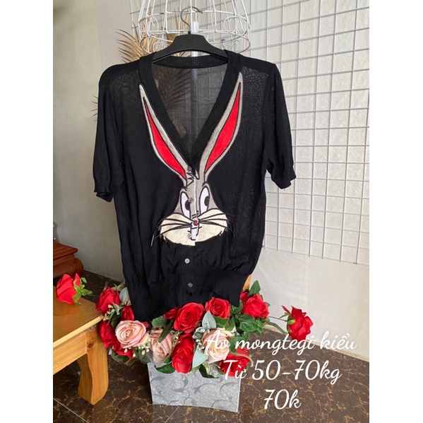 Áo mongtegi bigsize