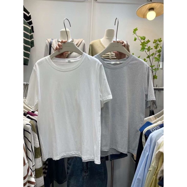 Áo thun trơn nữ basic cổ tròn chất mịn from dáng vừa hàng QC - hàng có sẵn