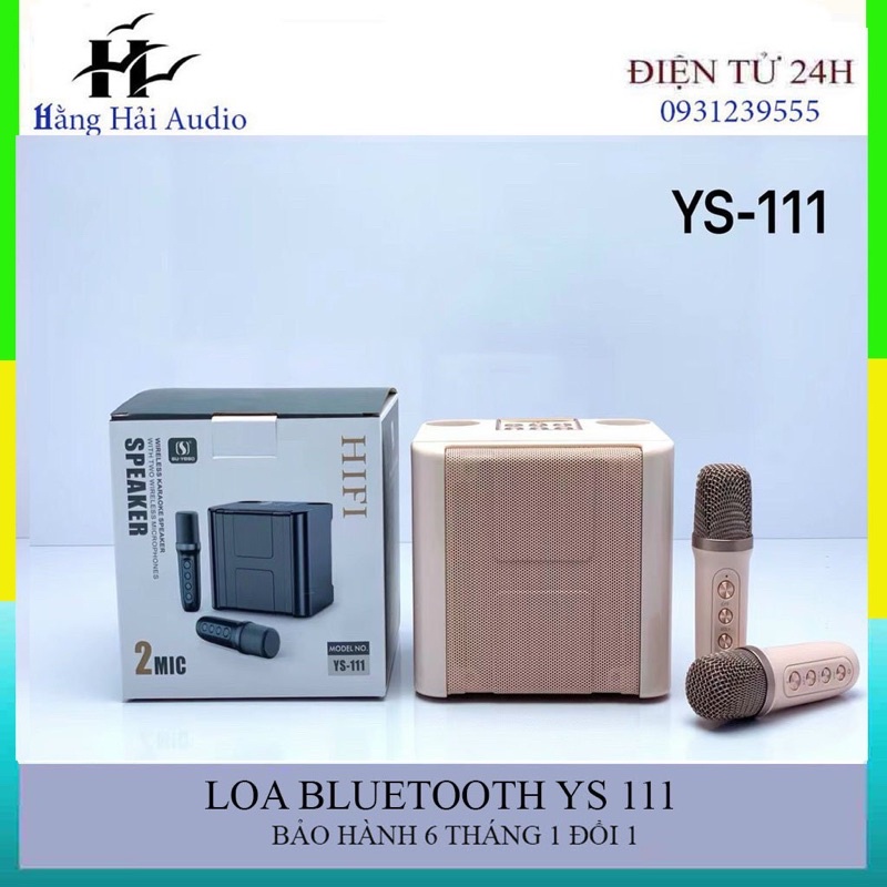 Loa Bluetooth YS 111 chính hãng, kèm 2 mic hát karaoke