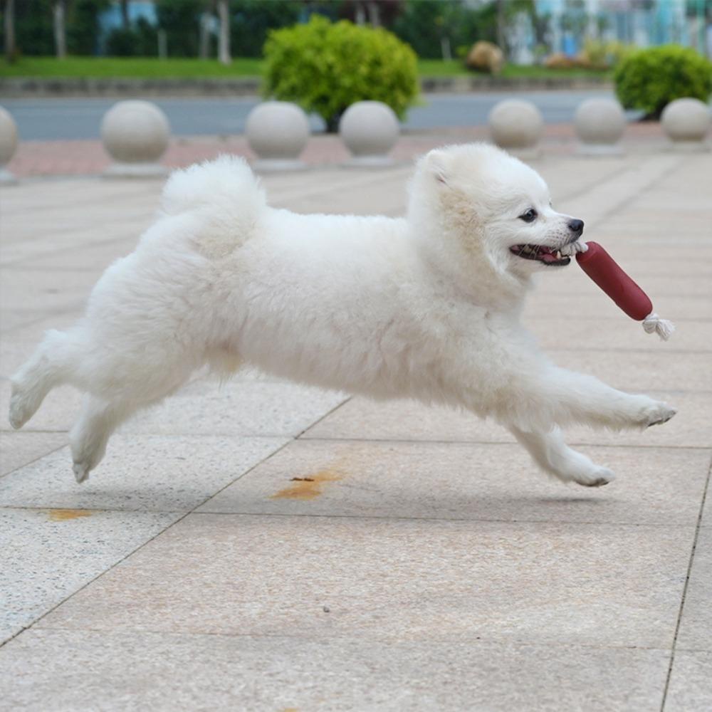 Đồ Chơi Gặm Chống Cắn Dành Cho Thú Cưng