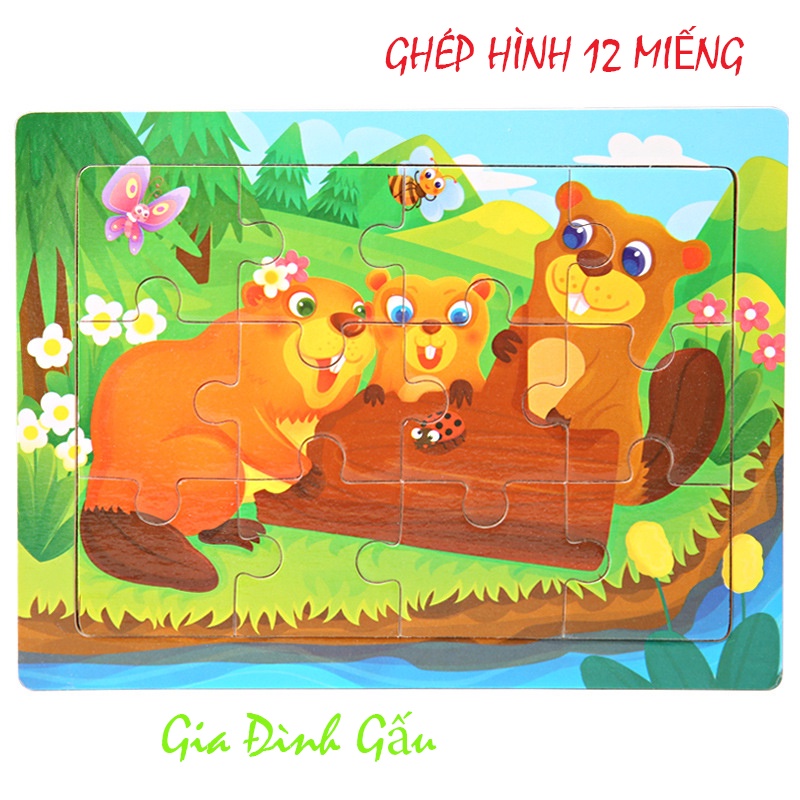 Chú sóc