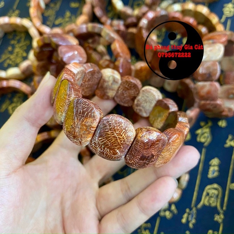 Vòng bản san hô hoá thạch 20 li đẹp chuẩn kiểm định