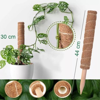 Trụ giá thể xơ dừa 40cm: Thích hợp cho các loại cây cảnh dây leo, Giúp cây bám & phát triển tốt.