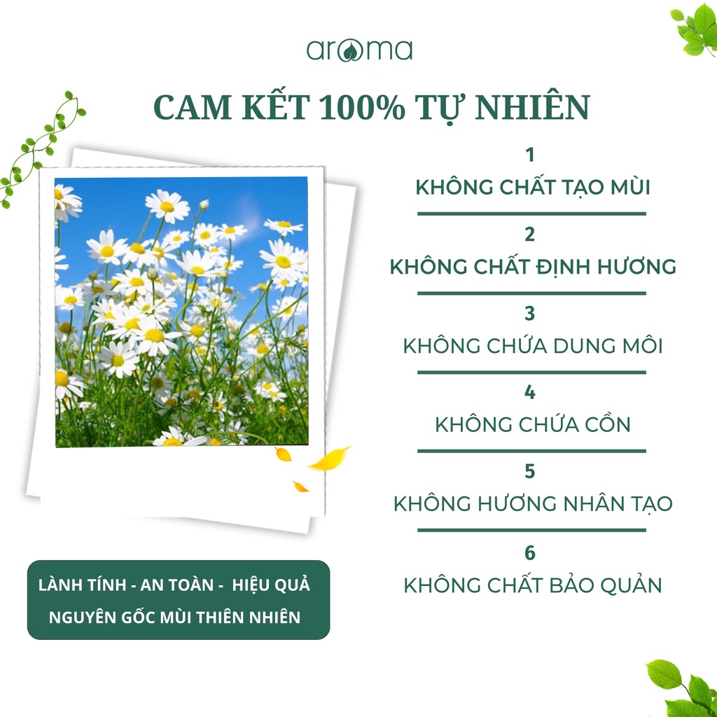 Aroma Que xốp hấp thụ nước với nhiều kích thước tuỳ chọn tiện dụng cho máy khuếch tán độ ẩm