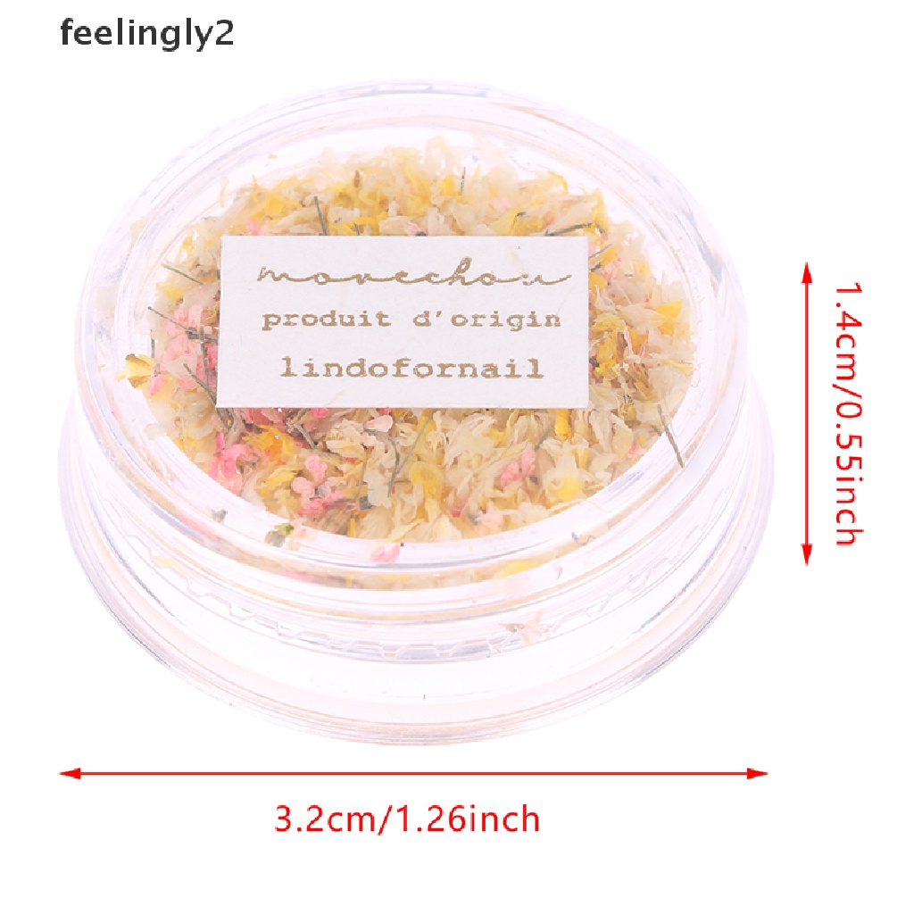 [Hàng Có Sẵn] Hộp Hoa Khô 3D Trang Trí Móng Tay Nghệ Thuật Tinh Tế DIY Tinh Tế