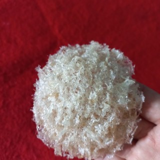10g yến vụn tổ