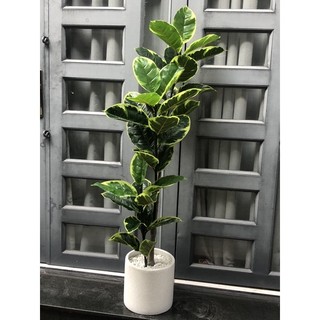 Cây bàng cẩm thạch giả 1,2m