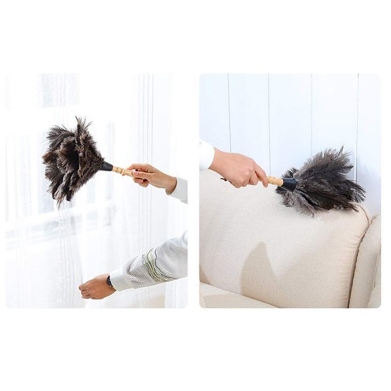 Chổi Quét Bụi Lông Đà Điểu CR1