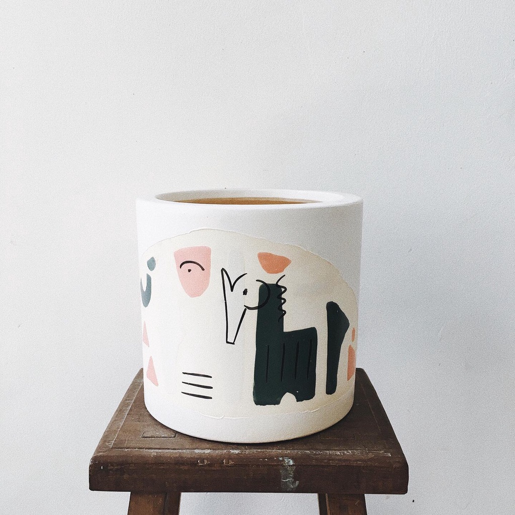 Chậu hoạt hình trồng cây trang trí nhà cửa