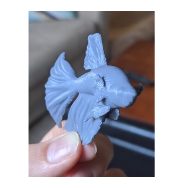 In 3D theo yêu cầu