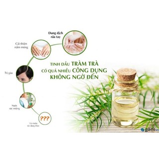 Tinh dầu tràm tràm 100ml