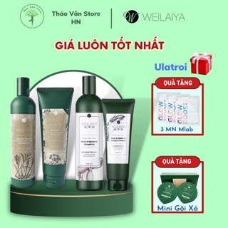 Bộ dầu gội gừng Weilaiya, giảm rụng kích mọc tóc🌿