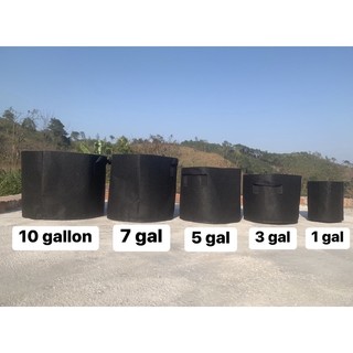 [ GIÁ XƯỞNG ] Túi vải trồng cây - Có quai ( 1 - 3 - 5 - 7 - 10 gallon ). Chậu vải trồng hoa , rau , củ, quả, chiết cành.
