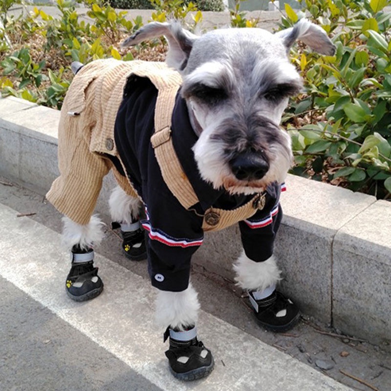 HamshMoc Bộ 4 Giày Bốt Bảo Vệ Chân Chống Trượt Chống Thấm Nước Màu Phản Quang Thoải Mái Khi Đi Ngoài Trời Cho Thú Cưng Cỡ Vừa Và Lớn