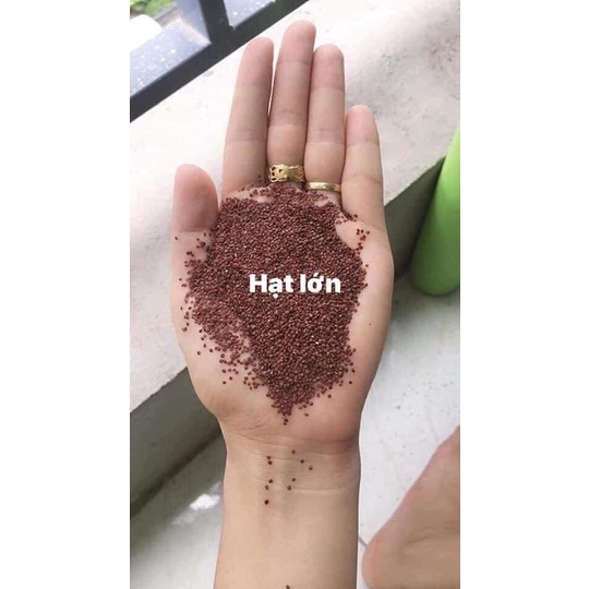 1kg ngũ hoa hạt to,sạch ,mặt nạ ngũ hoa handmade