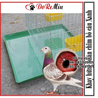 STHA- Khay hứng phân chim bồ câu 50x50cm có thể làm mâm hứng chuồng thú cưng