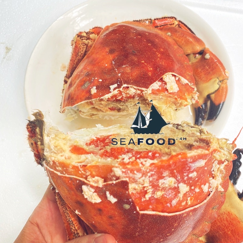 CUA NÂU NAUY SIÊU GẠCH, SIÊU NGON. SIZE 900G/CON UP BAO ĂN 1-1