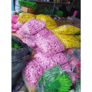 Hoa đào, hoa mai, lá rời trang trí tết