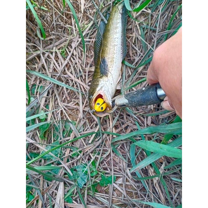 Mồi Câu Lure Mồi Nhái Hơi F69 Sét Chấm Bi mồi câu lure