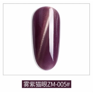 Sơn gel mắt mèo mã ZM