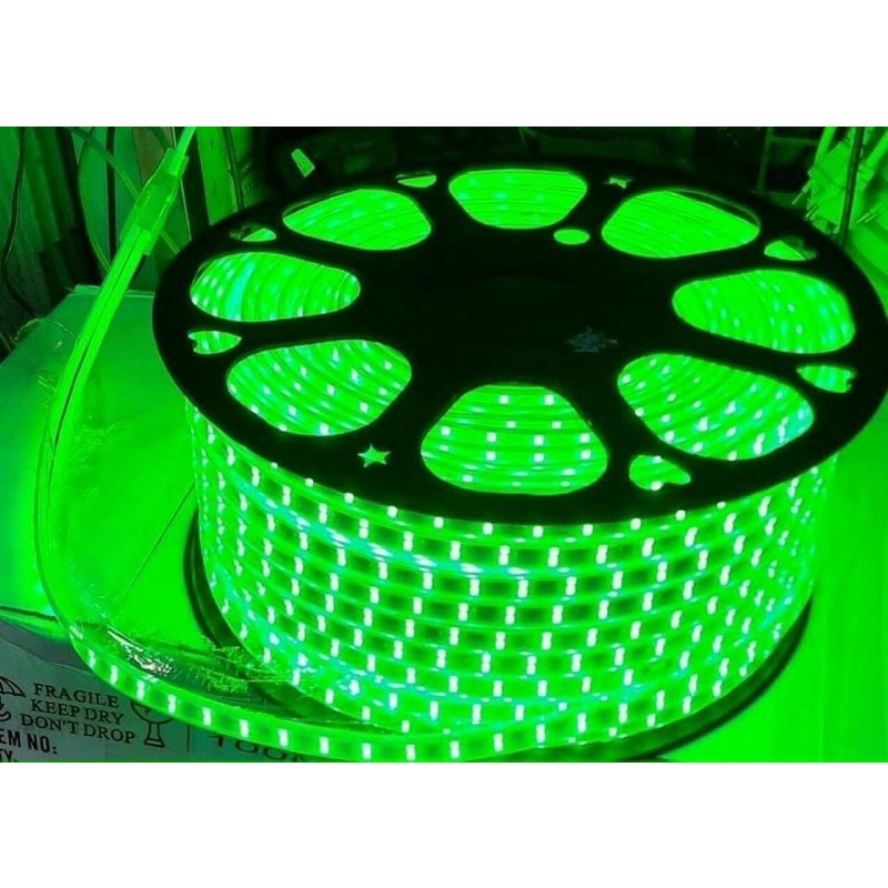 Dây Led 2 hàng bóng 2835 1 màu 1 cuộn 100m dán hắt trần thạch cao, trang trí cây.. ánh sáng vàng nắng, xanh lá…