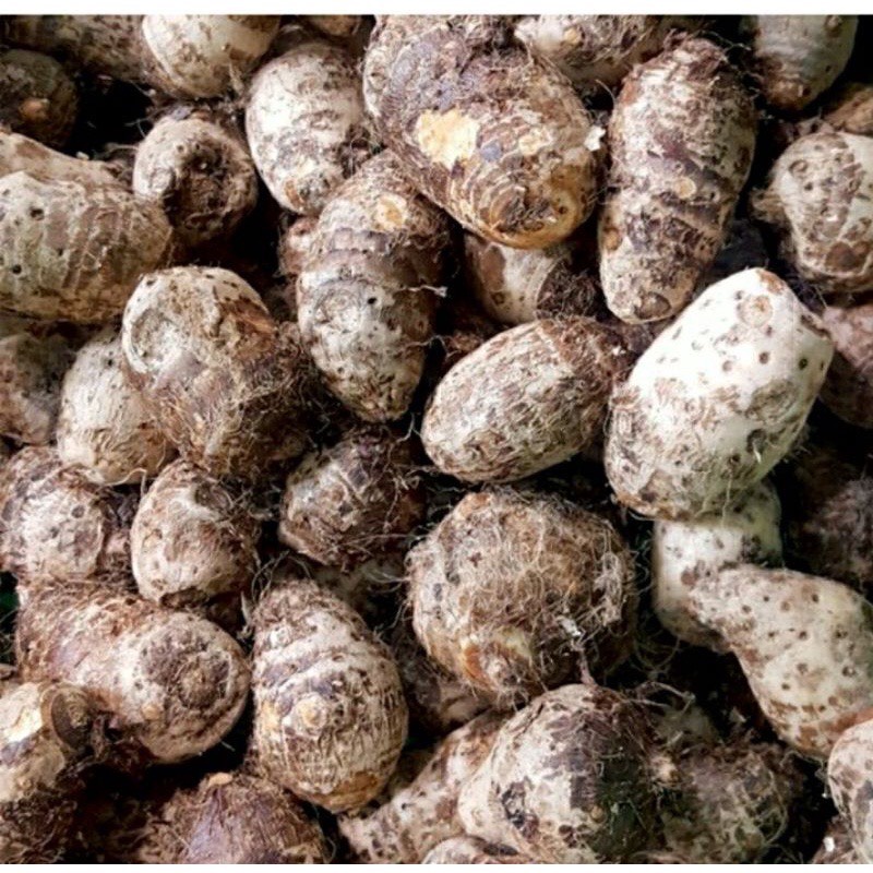 Khoai sọ bở, thơm ngon 500g-1kg có hỗ trợ cạo sạch vỏ - Ship hoả tốc Hà Nội