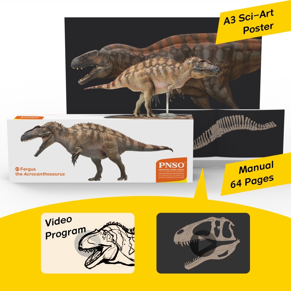 Mô Hình Khủng Long ACROCANTHOSAURUS FERGUS Tỉ Lệ 1/35 Chính Hãng PNSO