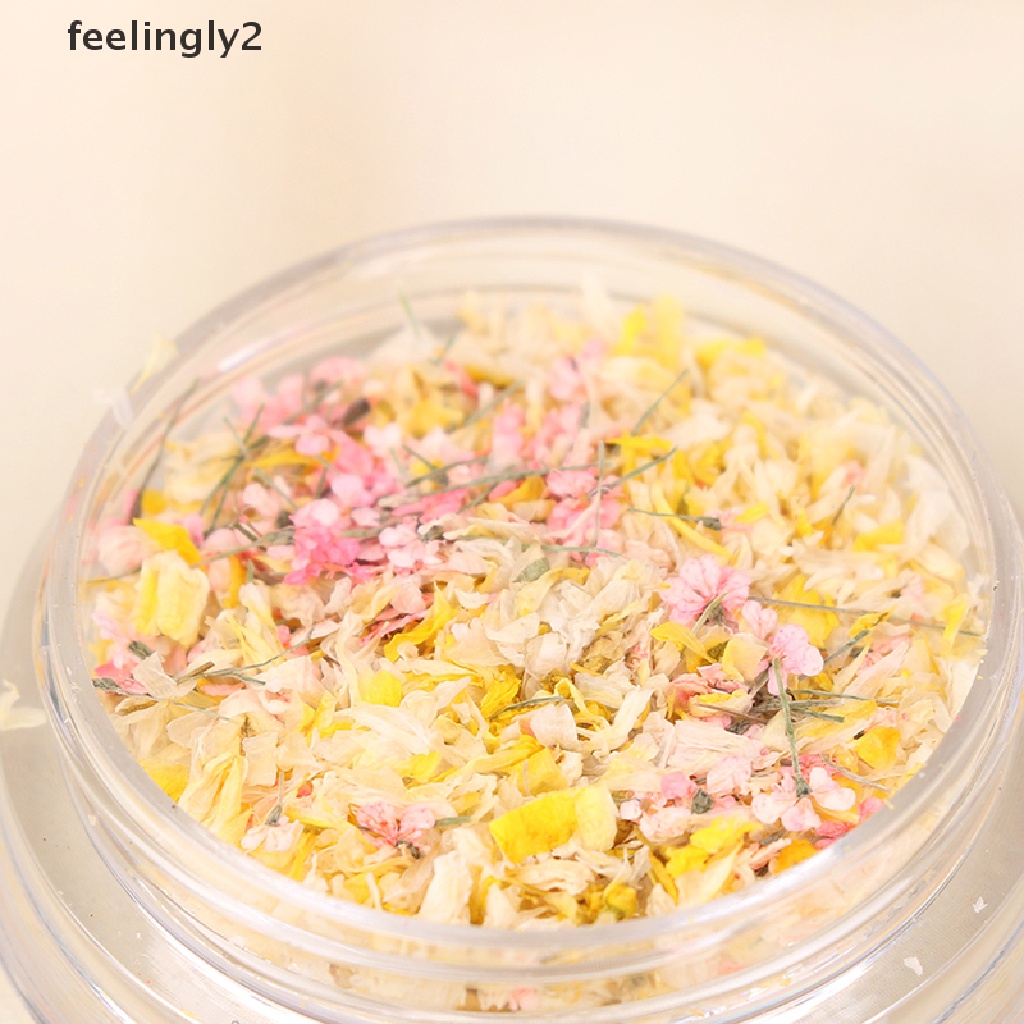 [Hàng Có Sẵn] Hộp Hoa Khô 3D Trang Trí Móng Tay Nghệ Thuật Tinh Tế DIY Tinh Tế