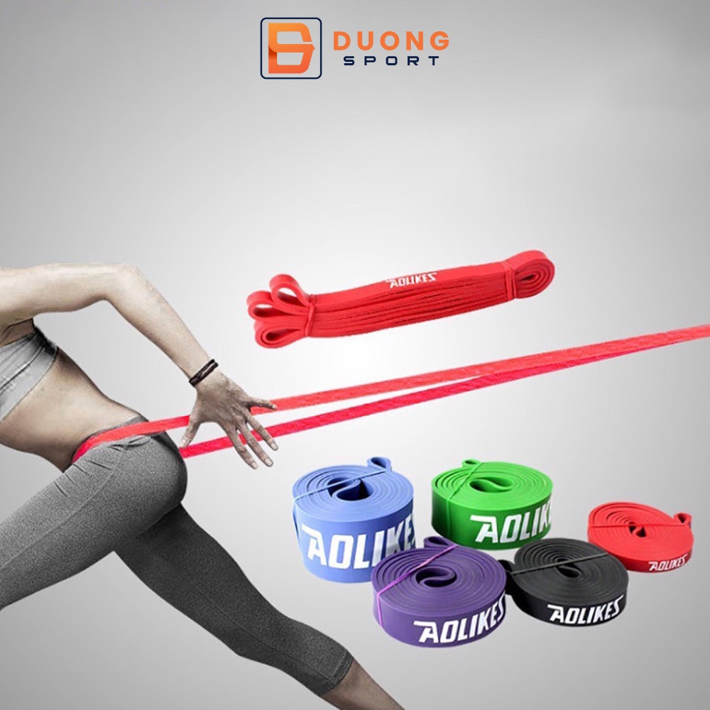 Dây Đa Năng Dây Kháng Lực Hỗ Trợ Tập Toàn Thân Power Band Aolikes Chính Hãng AL3602