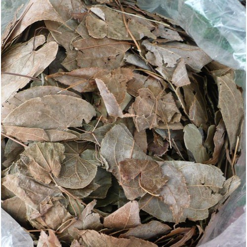 Lá Dâm Dương Hoắc ,Tăng Cường Khả Năng Sinh Lý ,Giúp Quý Ông Sung Mãn Như Tuổi Đôi Mươi 500g