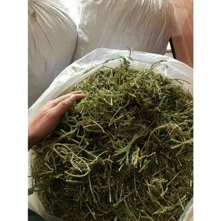 Cây Thông Đất Khô [1kg] Hàng Sạch Đẹp