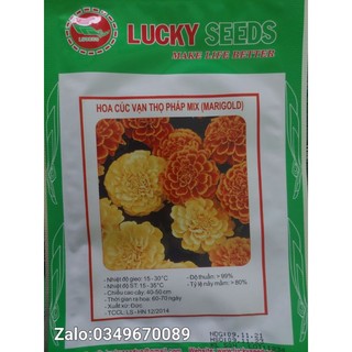 Hạt Giống Hoa Cúc Vạn Thọ Pháp (50 hạt)