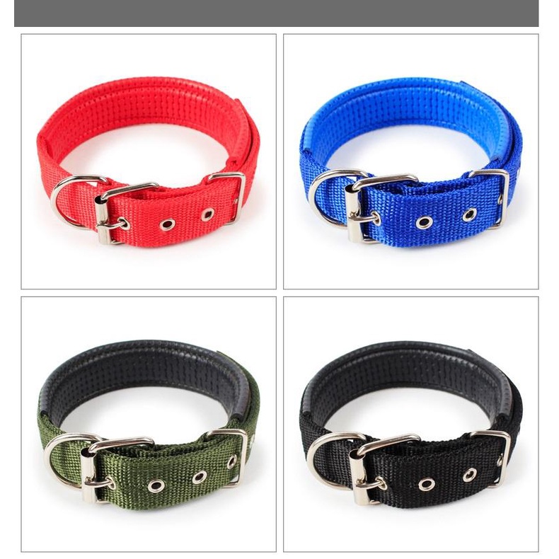 Vòng cổ chó kiểu có đệm cổ dành cho thú cưng