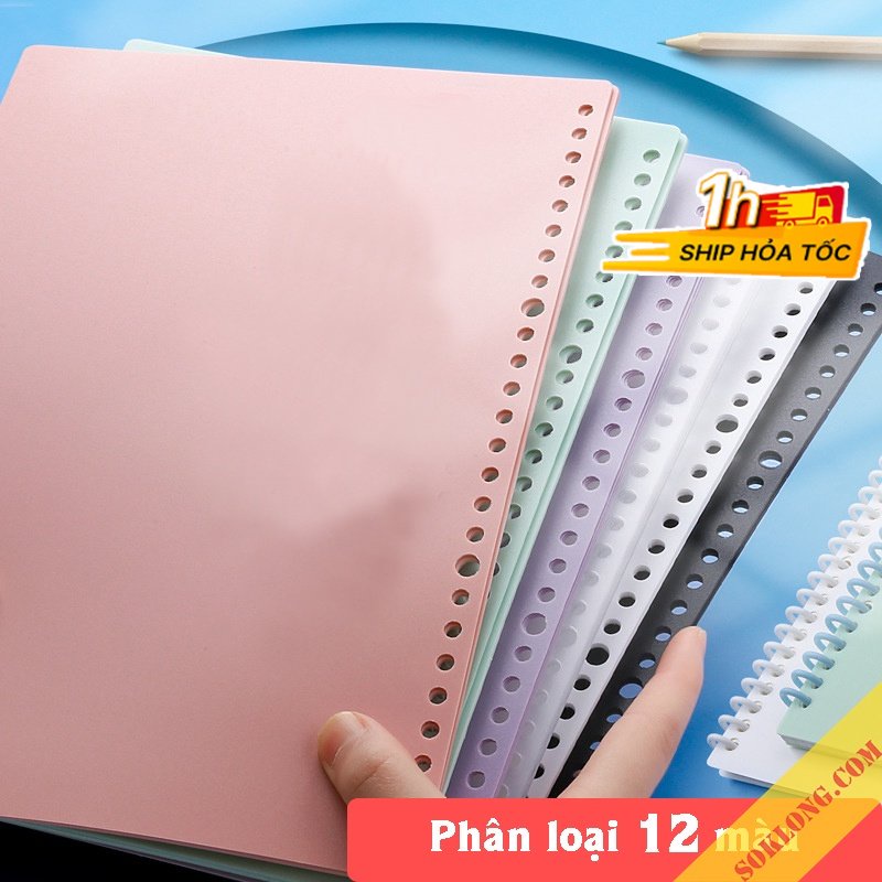 Bộ 2 bìa nhựa gắn sổ còng B5 26 chấu Pastel P16 tab phân trang binder màu xinh xắn SOKLONG