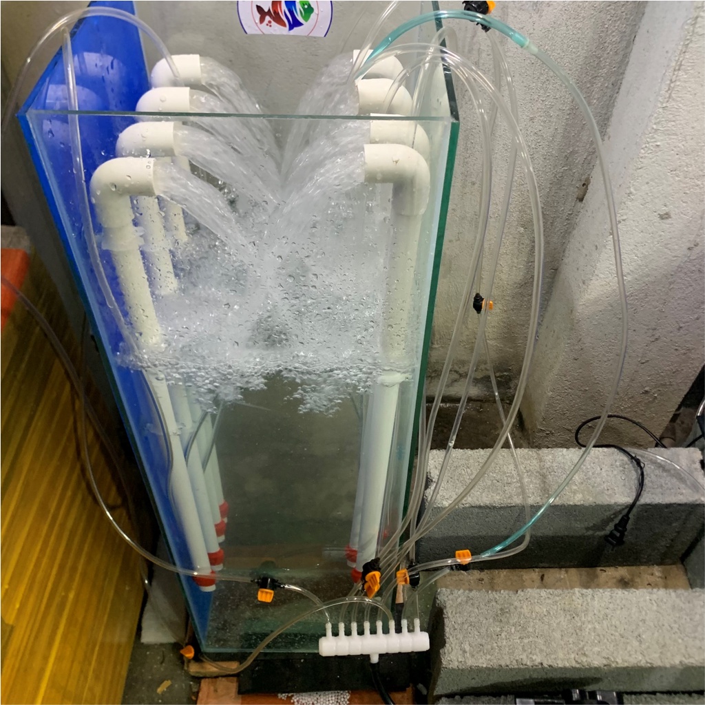 Ống Airlift fi 20 Siêu Mịn Bơm Nước Hồ Cá Bằng Máy Sủi Oxy