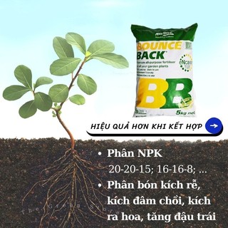 Phân BOUNCE BACK BB hữu cơ (1KG chiết lẻ từ bao 5kg) nhập khẩu từ Úc, dạng viên